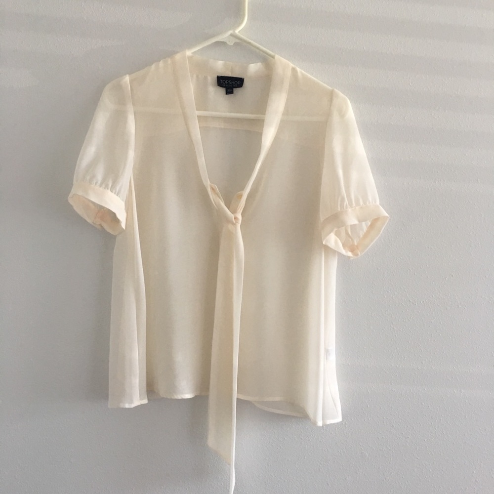 Topshop sheer blouse